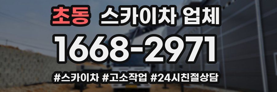 초동 스카이차 업체