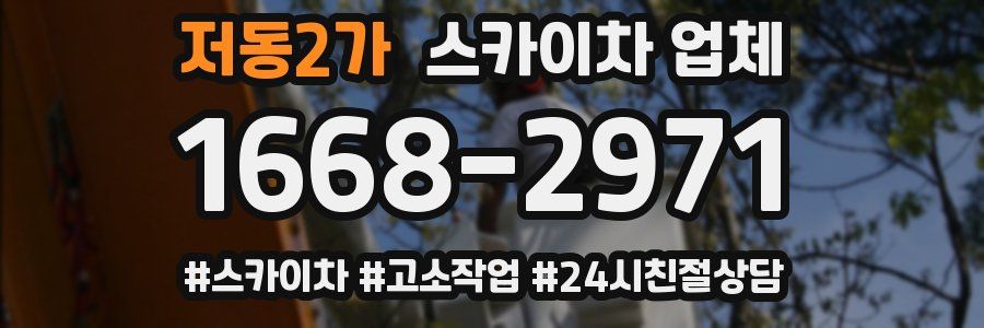 저동2가 스카이차 업체