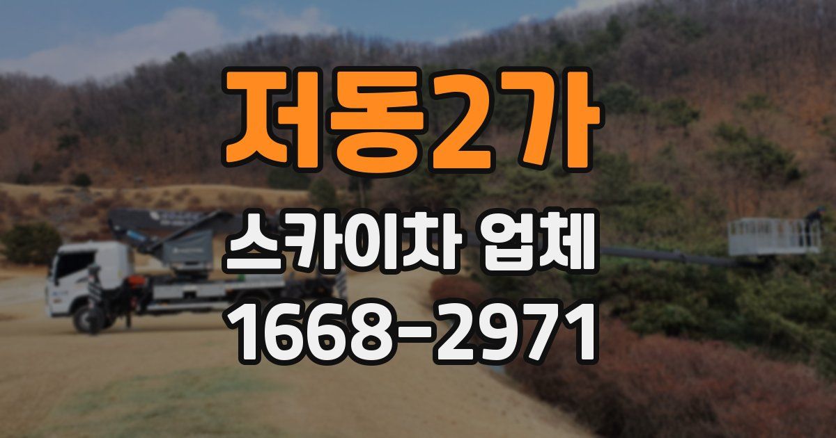저동2가 스카이차 업체