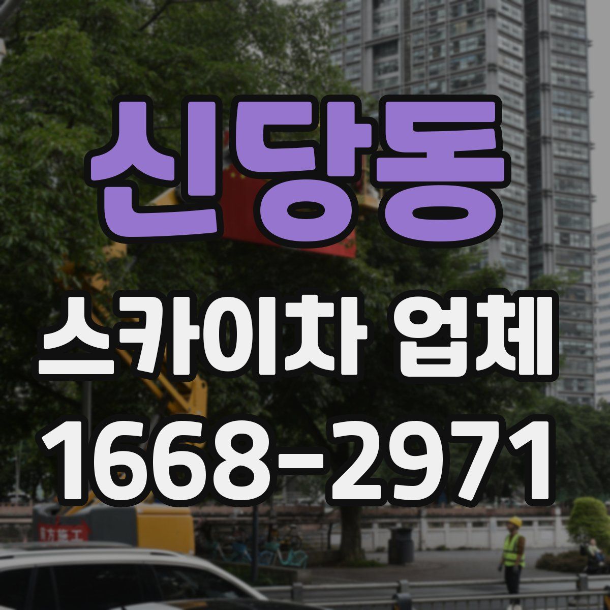 신당동 스카이차 업체