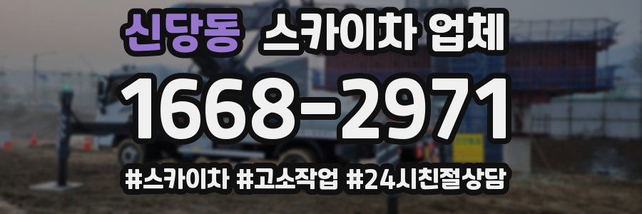 신당동 스카이차 업체