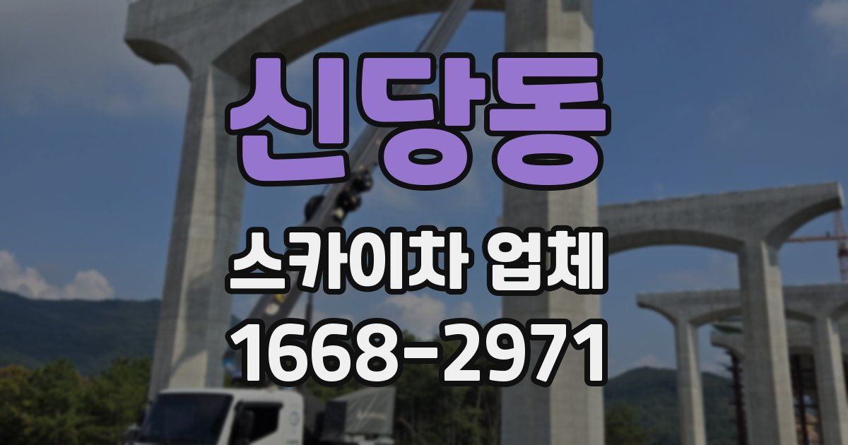 신당동 스카이차 업체