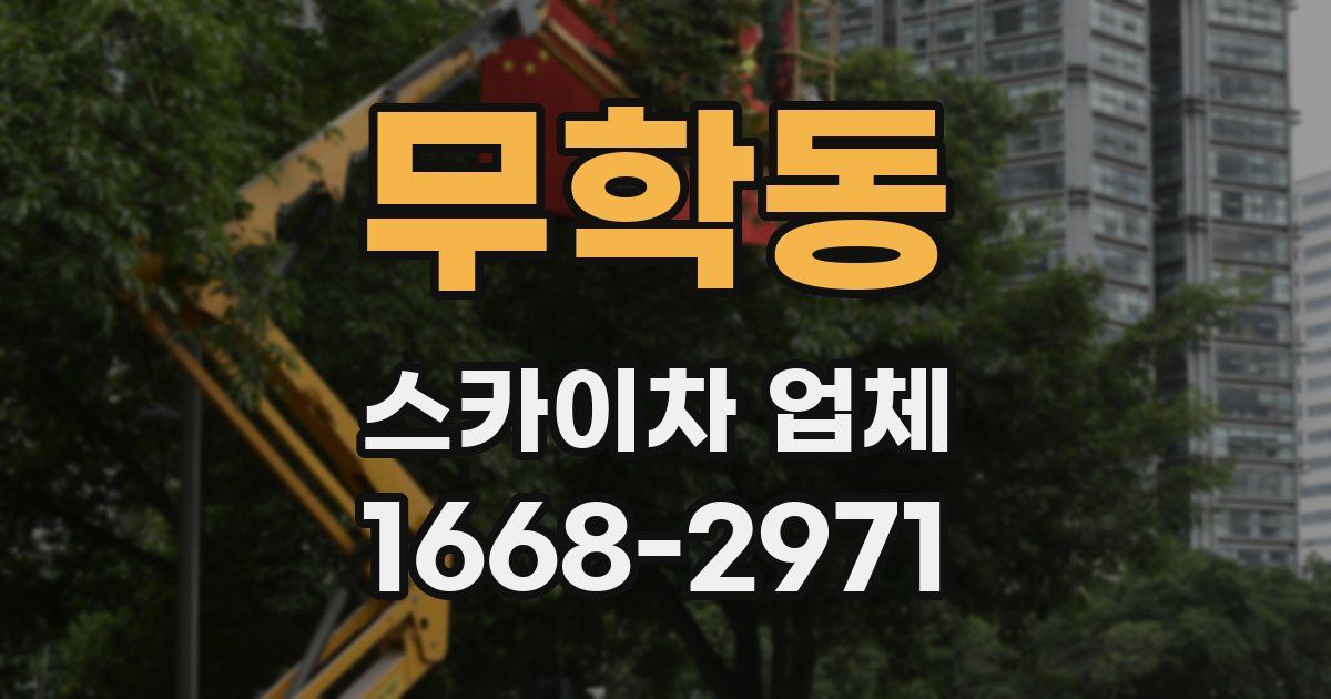 무학동 스카이차 업체