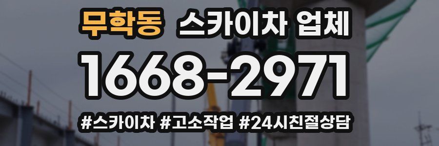 무학동 스카이차 업체