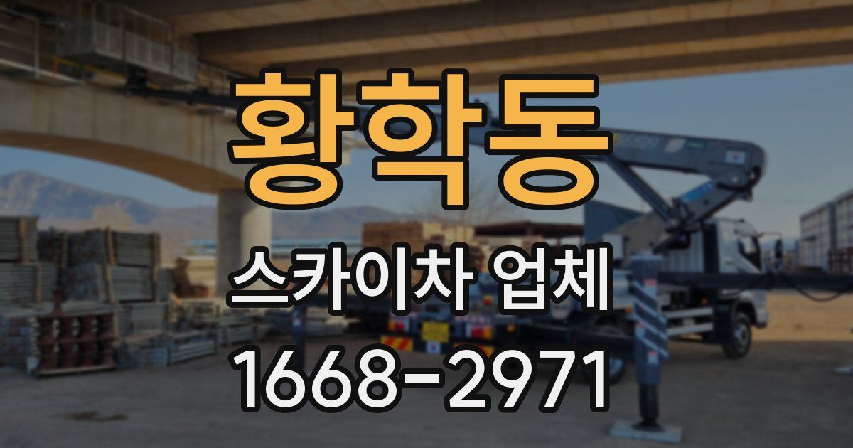 황학동 스카이차 업체