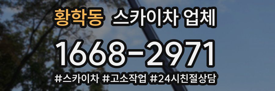 황학동 스카이차 업체