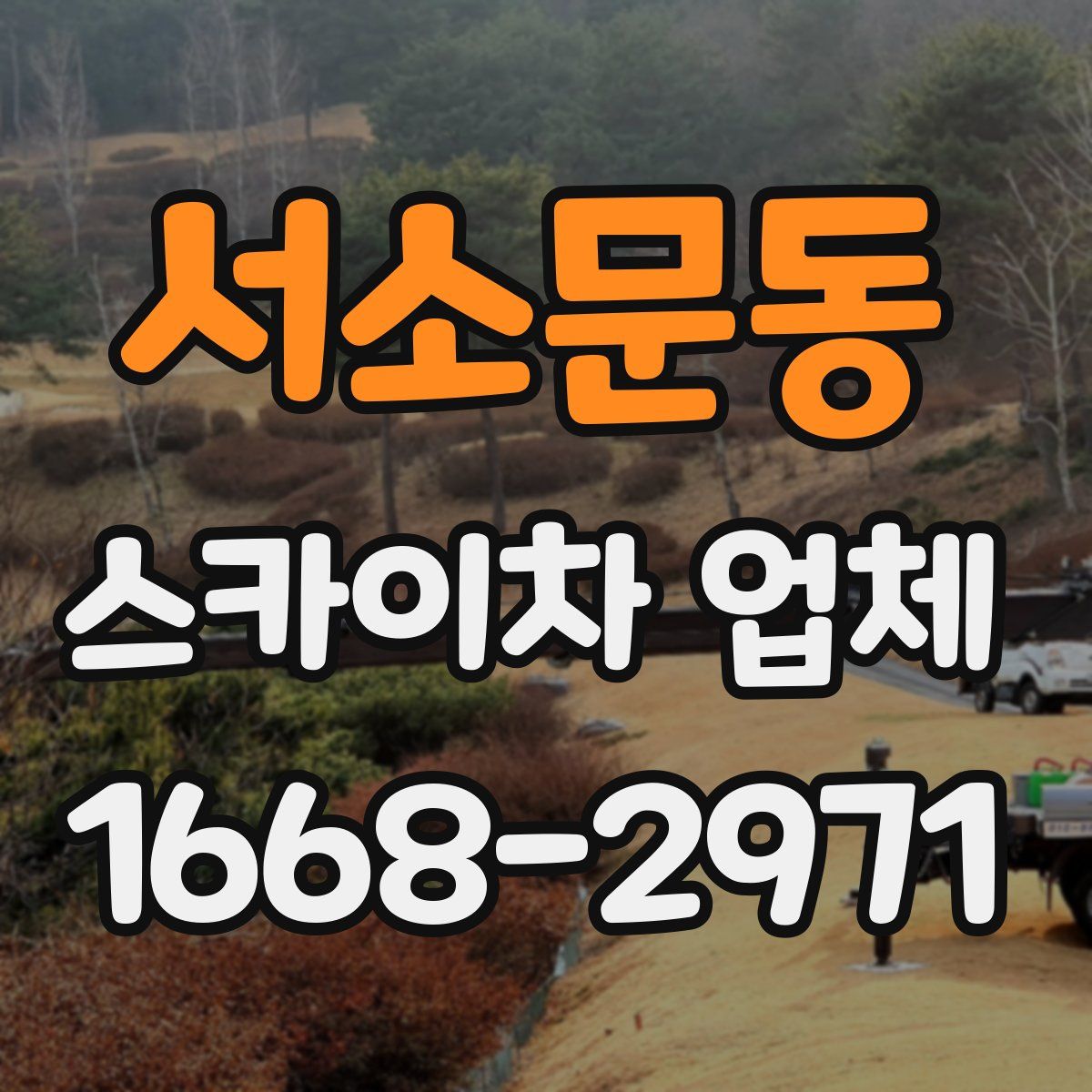서소문동 스카이차 업체