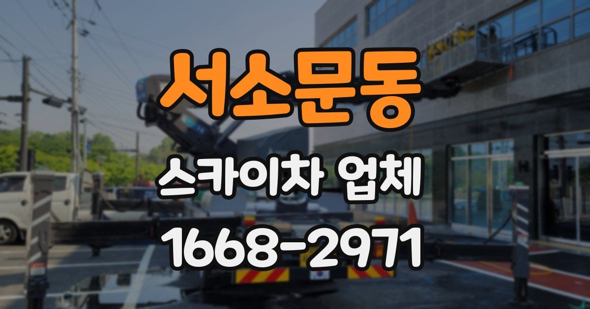 서소문동 스카이차 업체