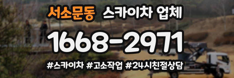 서소문동 스카이차 업체