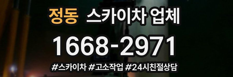정동 스카이차 업체