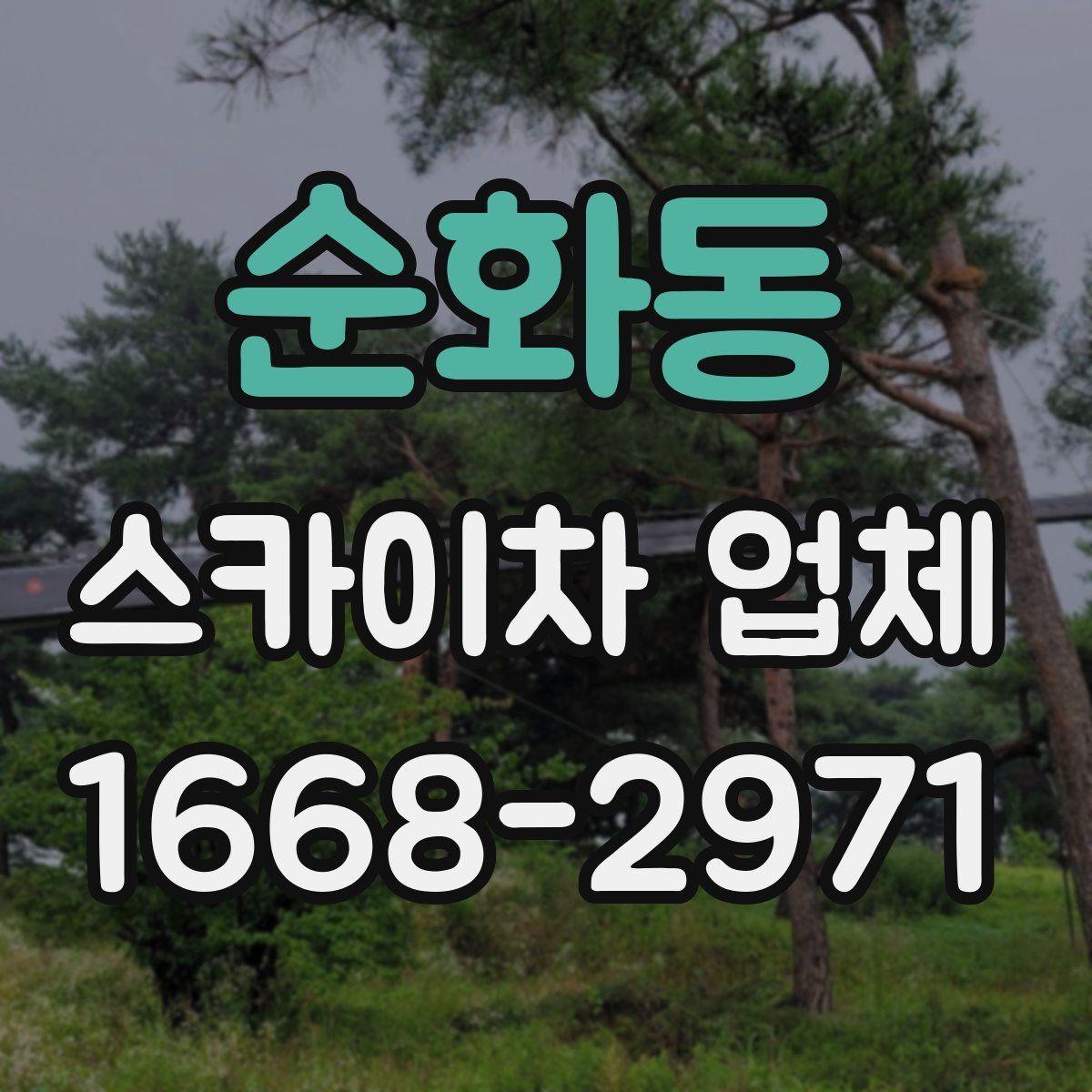 순화동 스카이차 업체