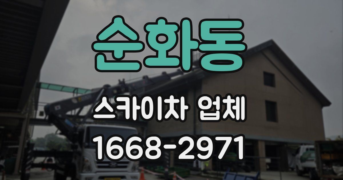 순화동 스카이차 업체