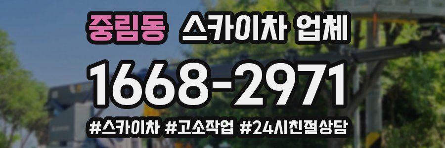 중림동 스카이차 업체