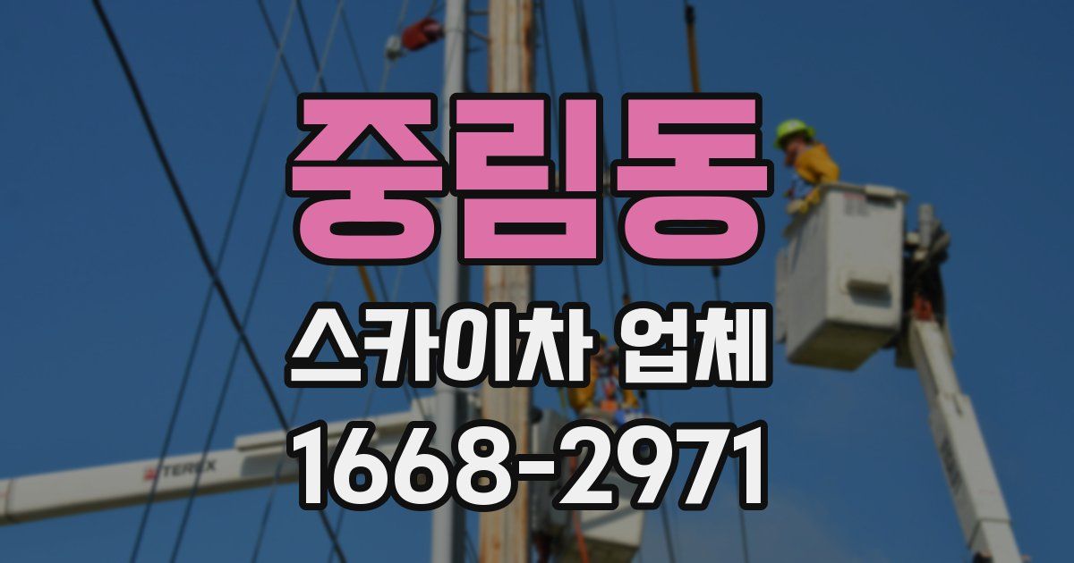 중림동 스카이차 업체