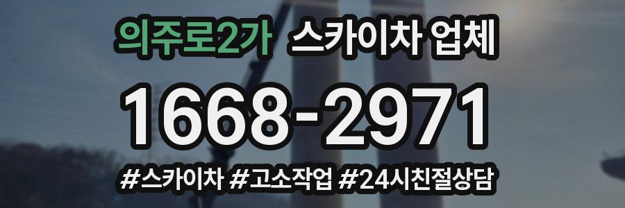 의주로2가 스카이차 업체