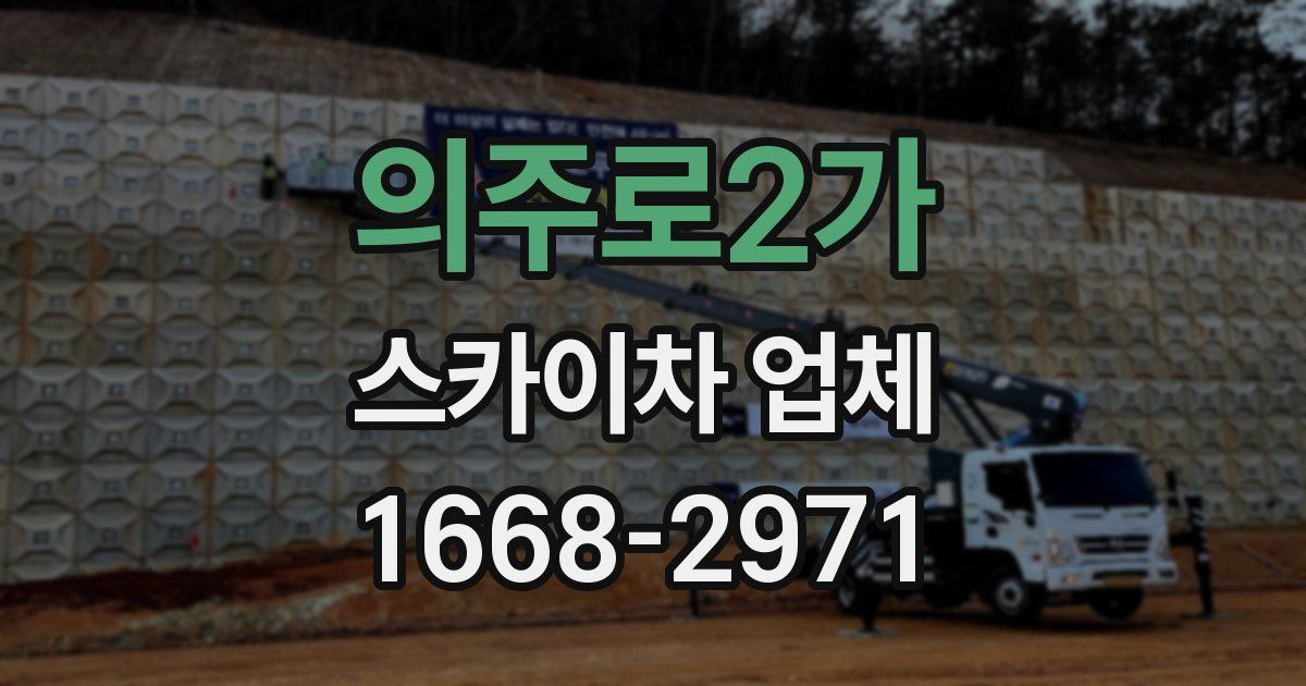 의주로2가 스카이차 업체