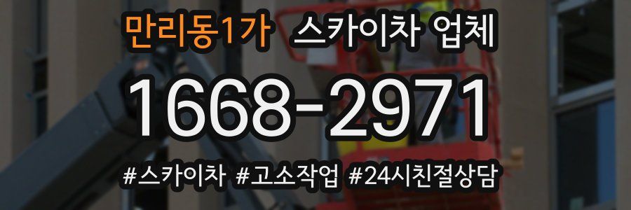 만리동1가 스카이차 업체