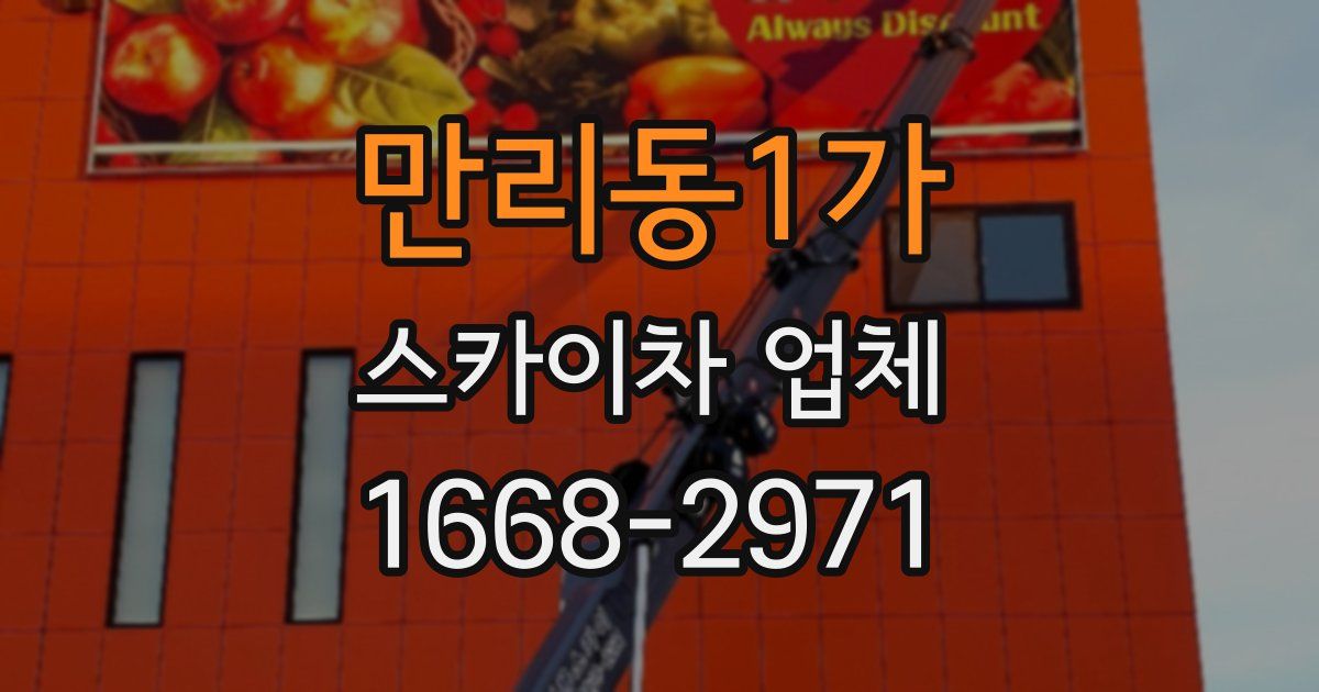 만리동1가 스카이차 업체