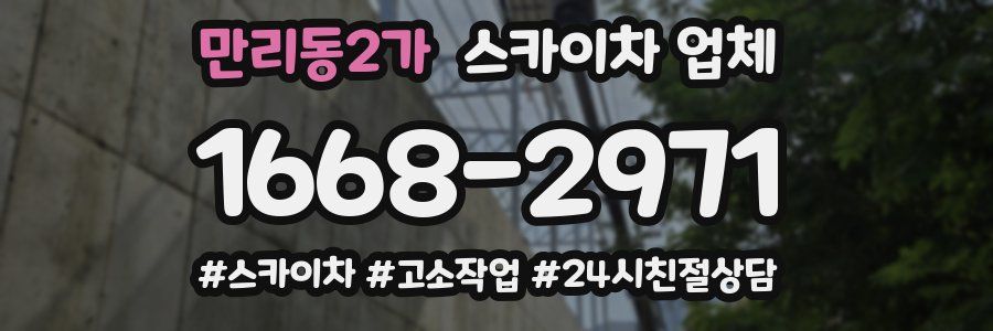 만리동2가 스카이차 업체