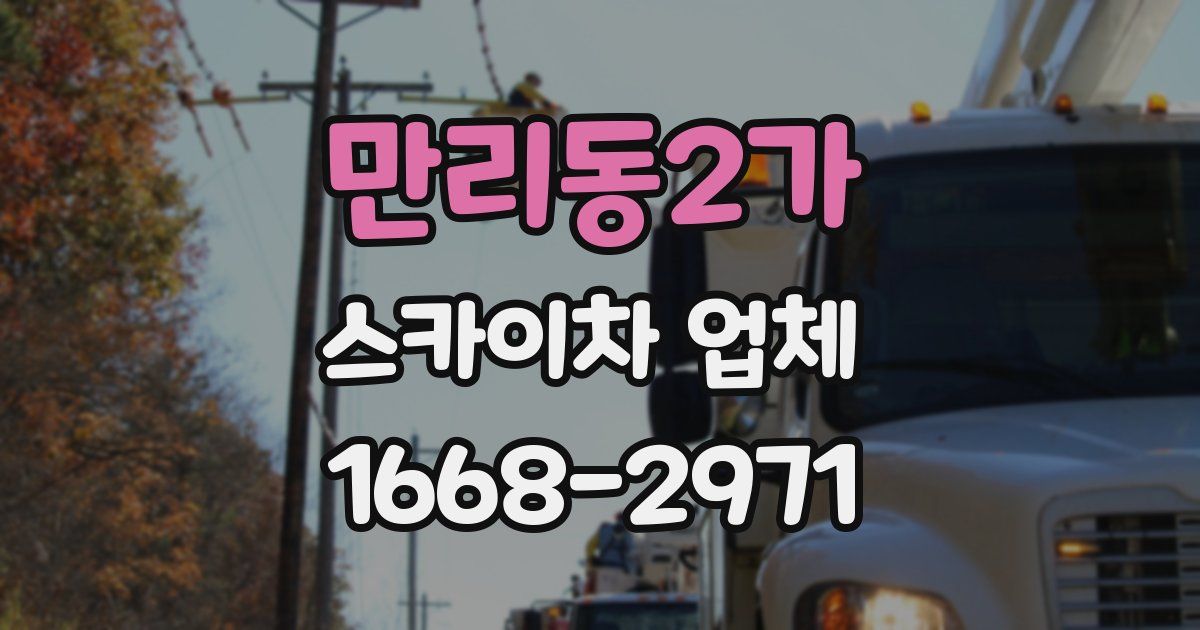 만리동2가 스카이차 업체