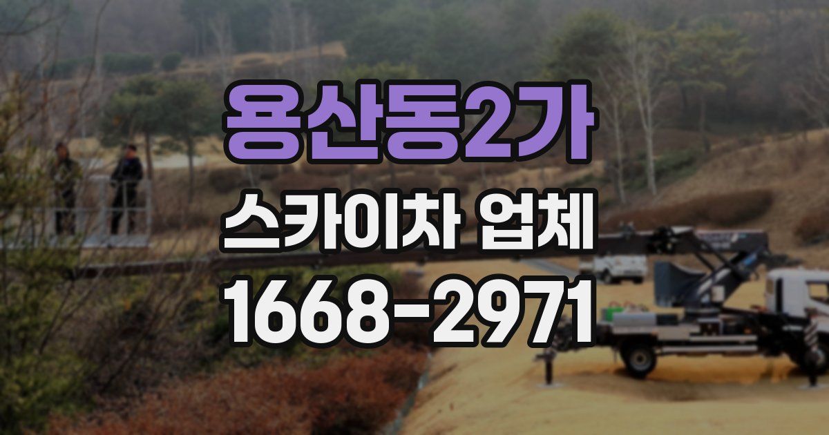 용산동2가 스카이차 업체