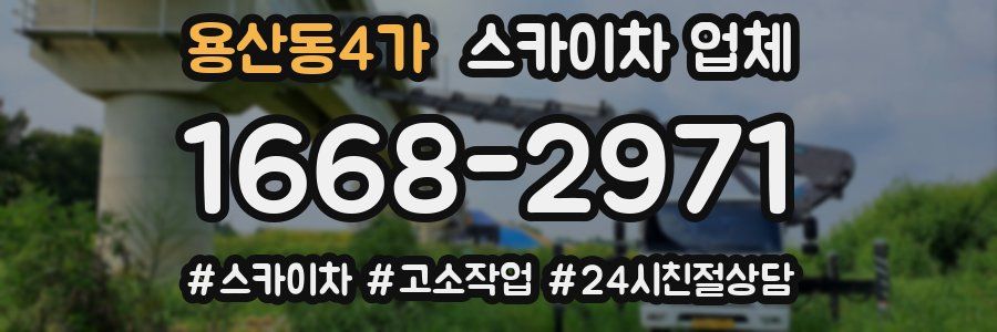 용산동4가 스카이차 업체