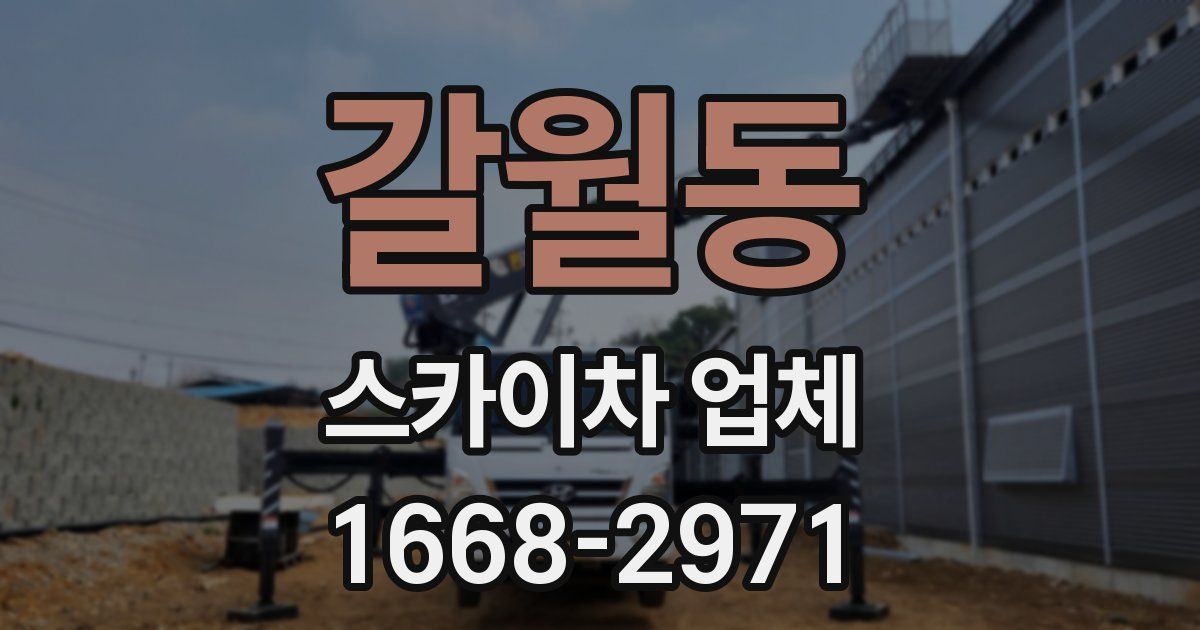 갈월동 스카이차 업체