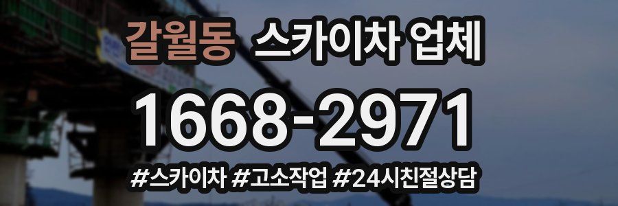 갈월동 스카이차 업체