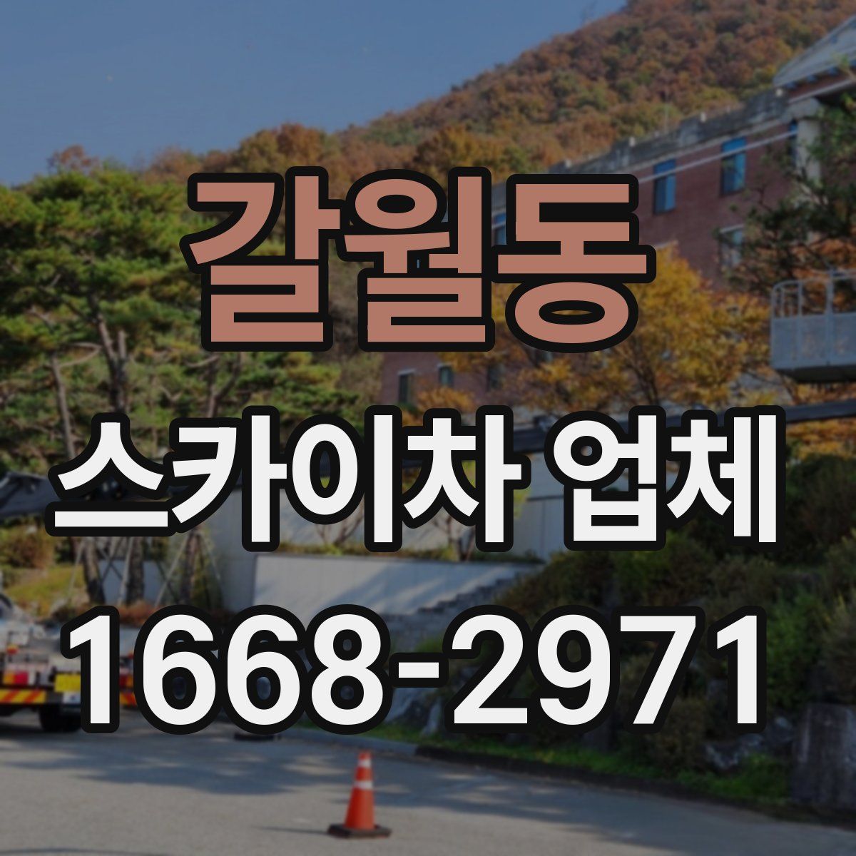 갈월동 스카이차 업체