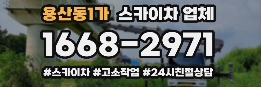 용산동1가 스카이차 업체