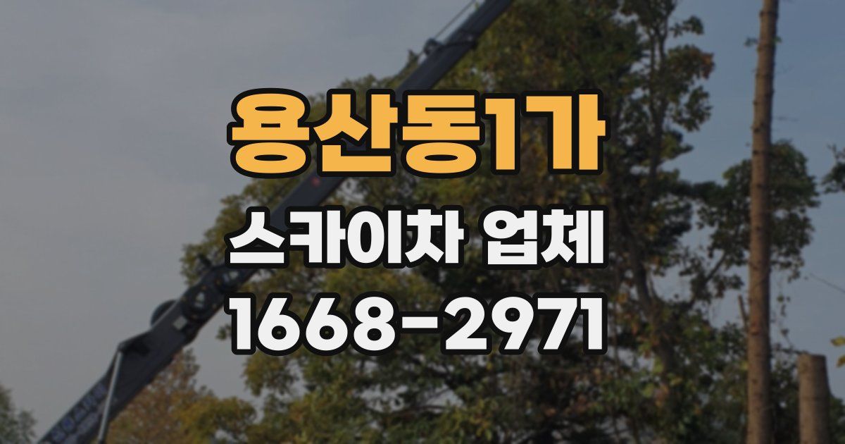 용산동1가 스카이차 업체