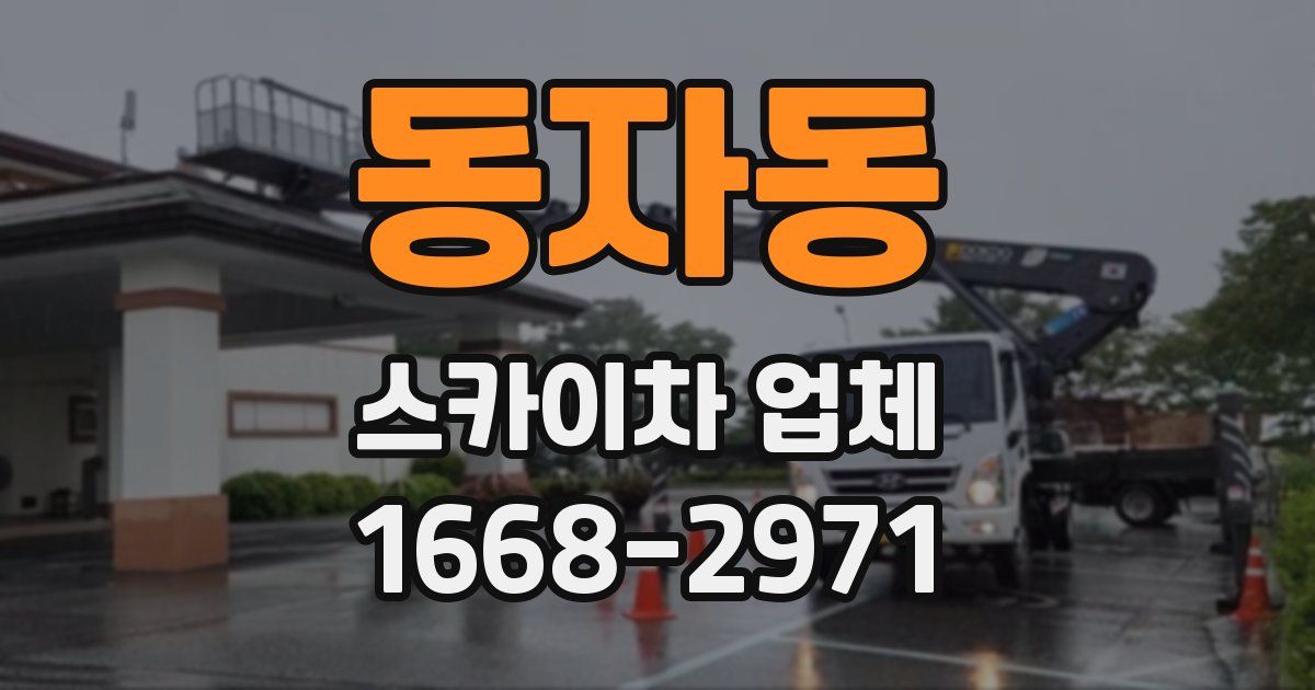 동자동 스카이차 업체