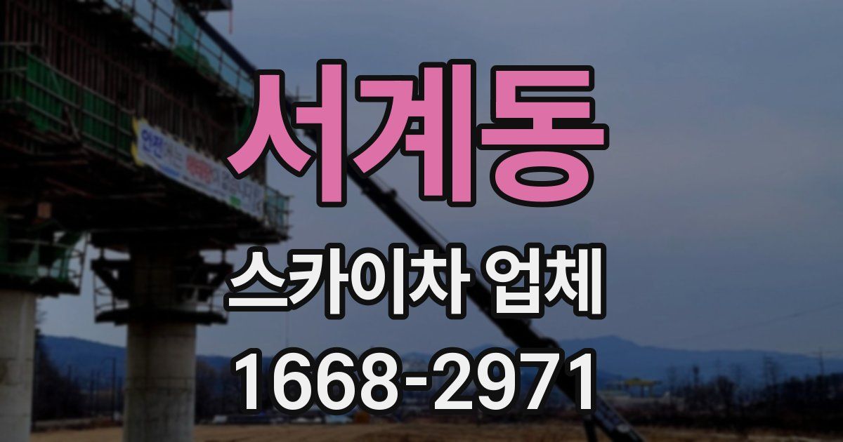 서계동 스카이차 업체