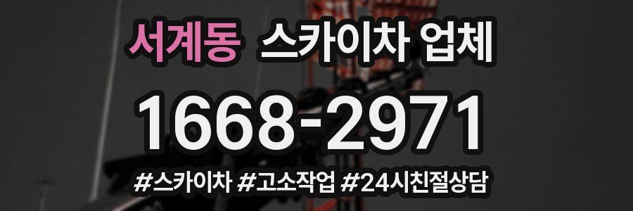 서계동 스카이차 업체