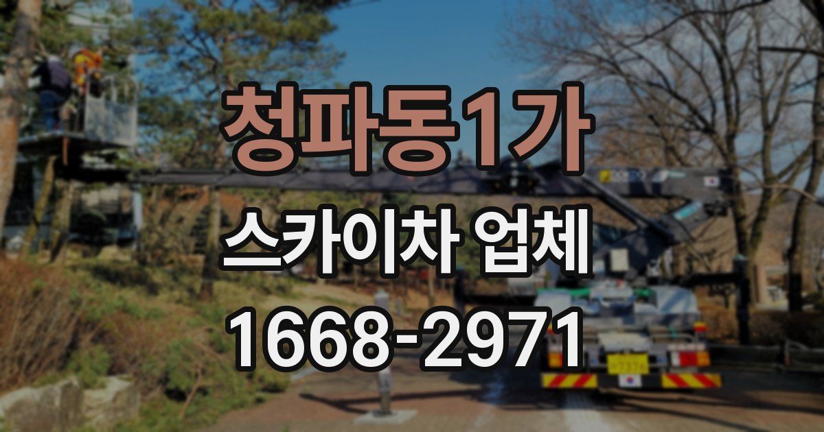 청파동1가 스카이차 업체