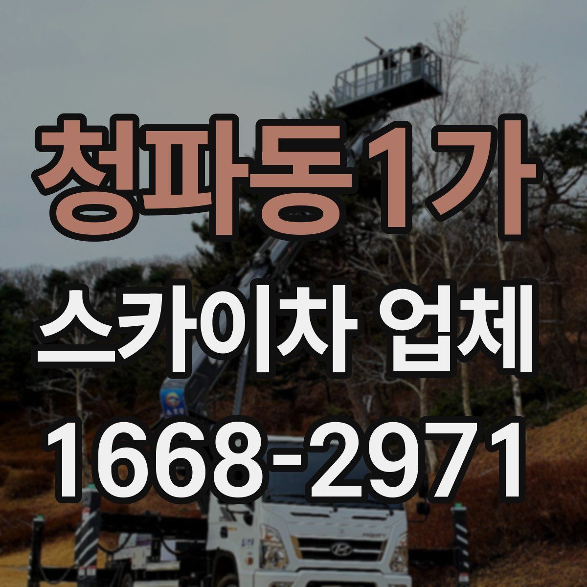 청파동1가 스카이차 업체