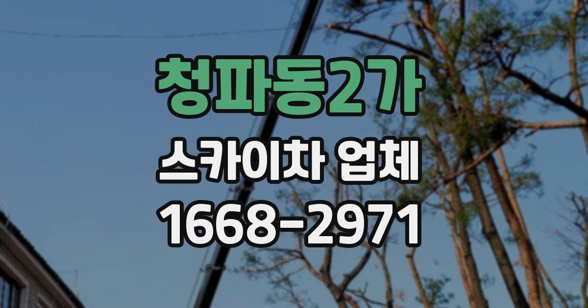 청파동2가 스카이차 업체
