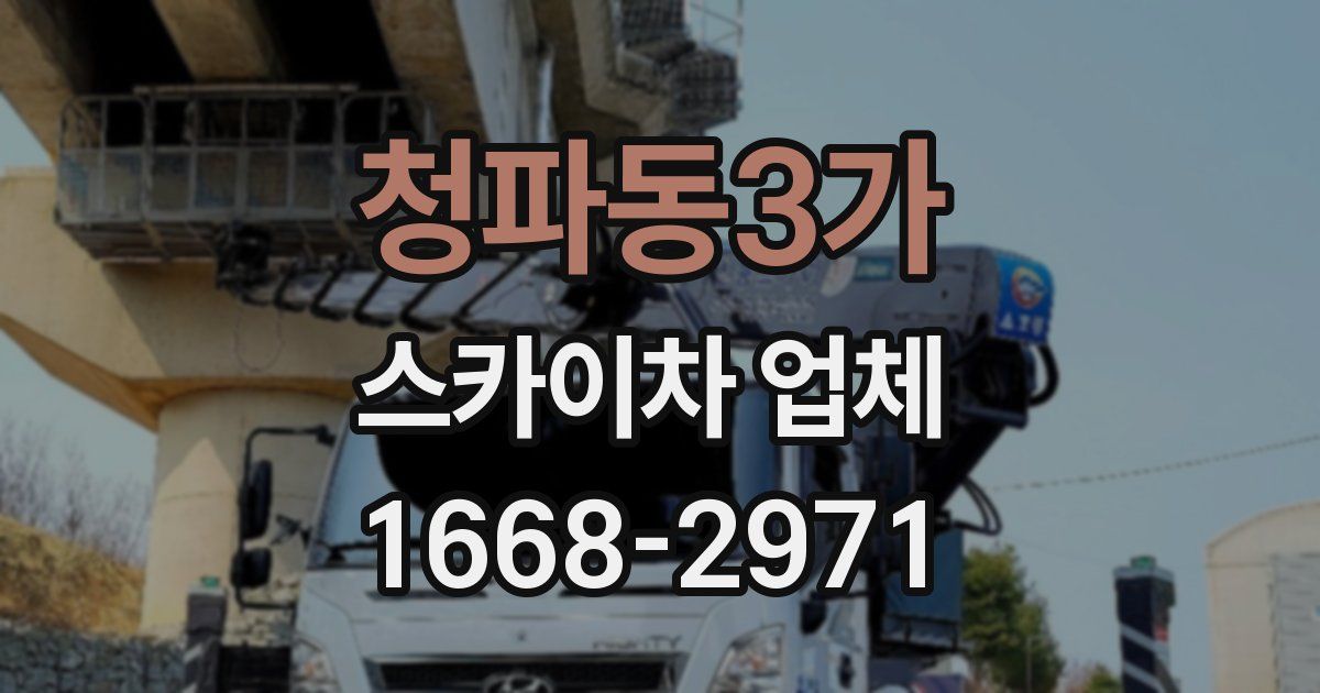 청파동3가 스카이차 업체