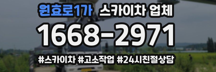 원효로1가 스카이차 업체