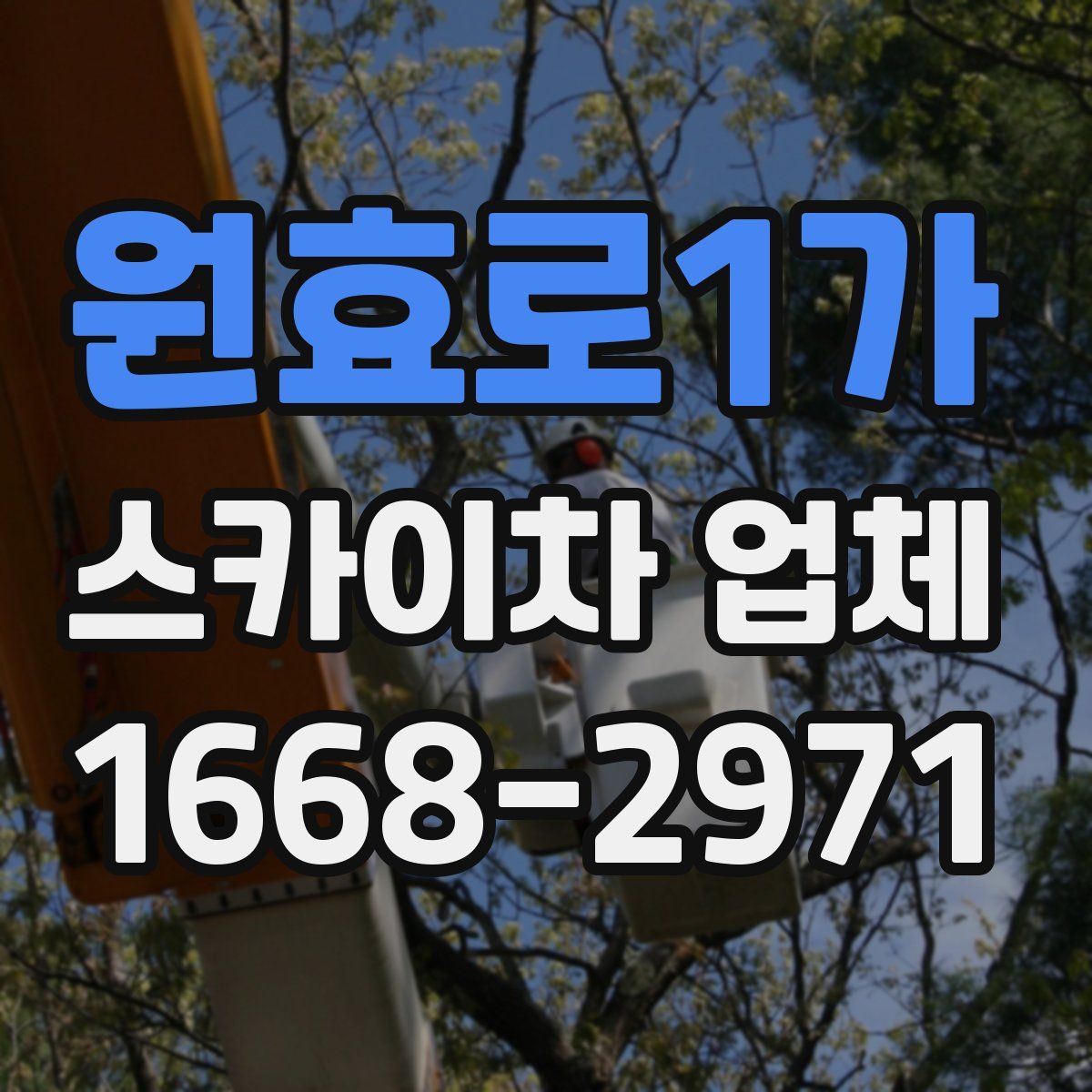 원효로1가 스카이차 업체