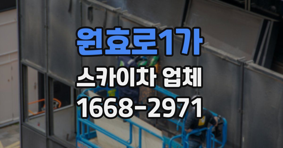원효로1가 스카이차 업체