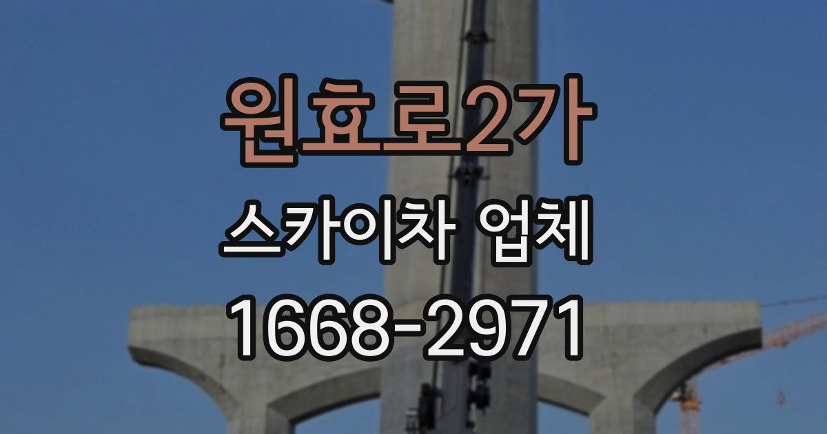 원효로2가 스카이차 업체