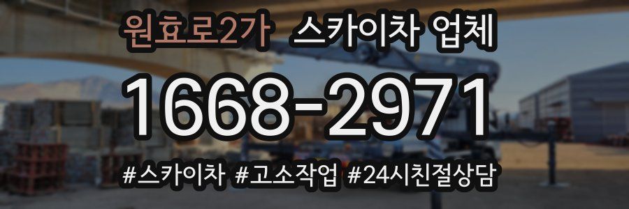 원효로2가 스카이차 업체