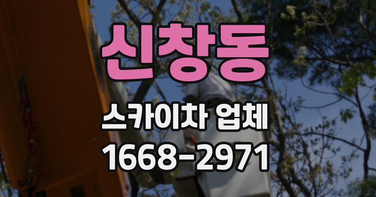 신창동 스카이차 업체