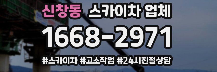 신창동 스카이차 업체