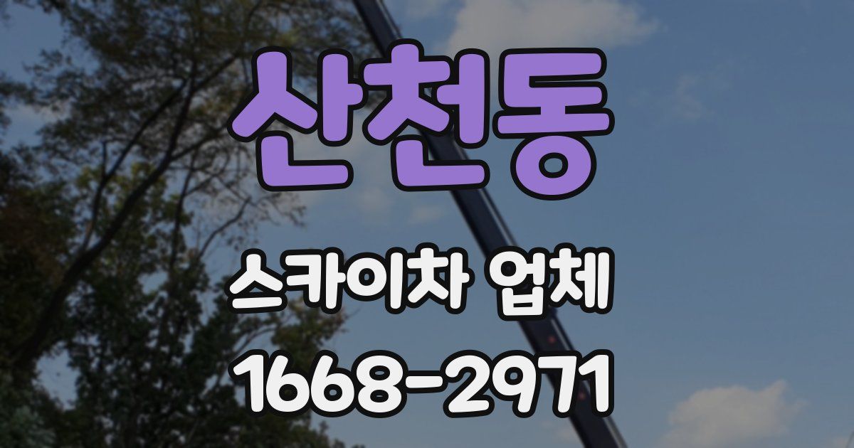산천동 스카이차 업체