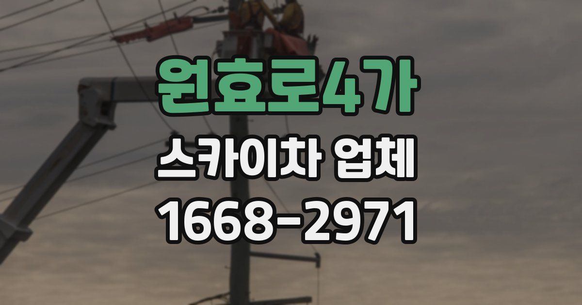 원효로4가 스카이차 업체