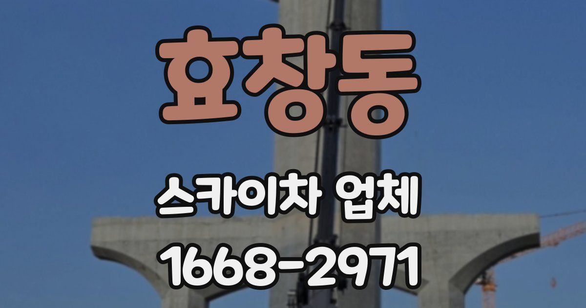 효창동 스카이차 업체