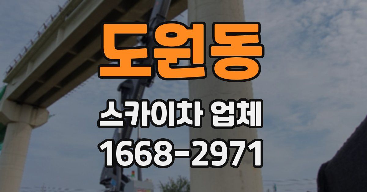 도원동 스카이차 업체