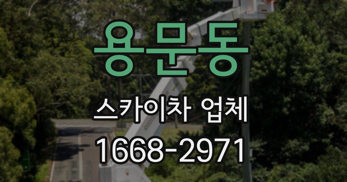 용문동 스카이차 업체